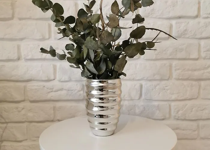 Апартаменты Apartmenty Adler - White